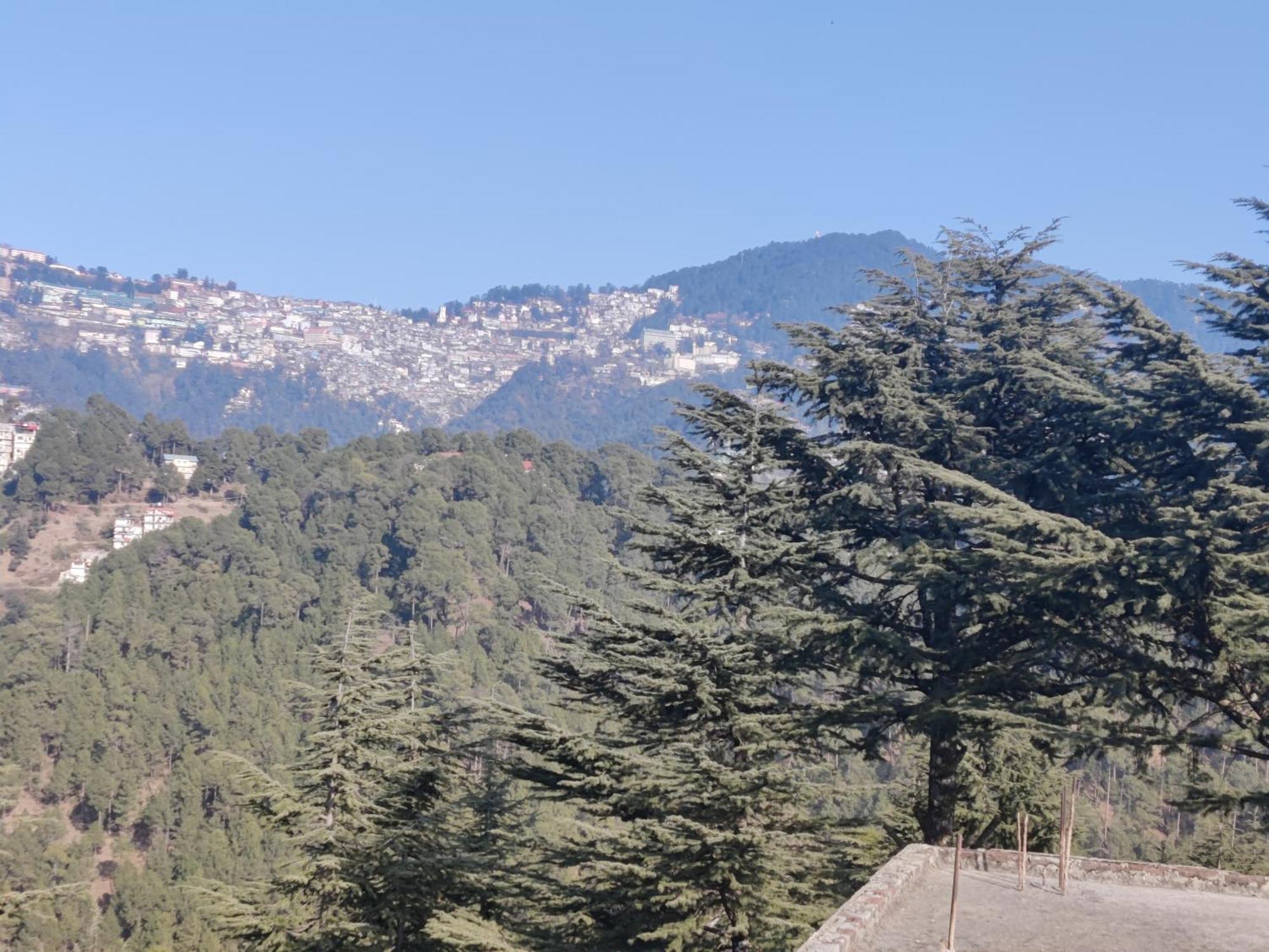 Shimla Hills Apartments 2Bhk Rom bilde